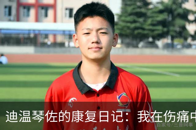 迪温琴佐的康复日记：我在伤痛中学会了忍耐